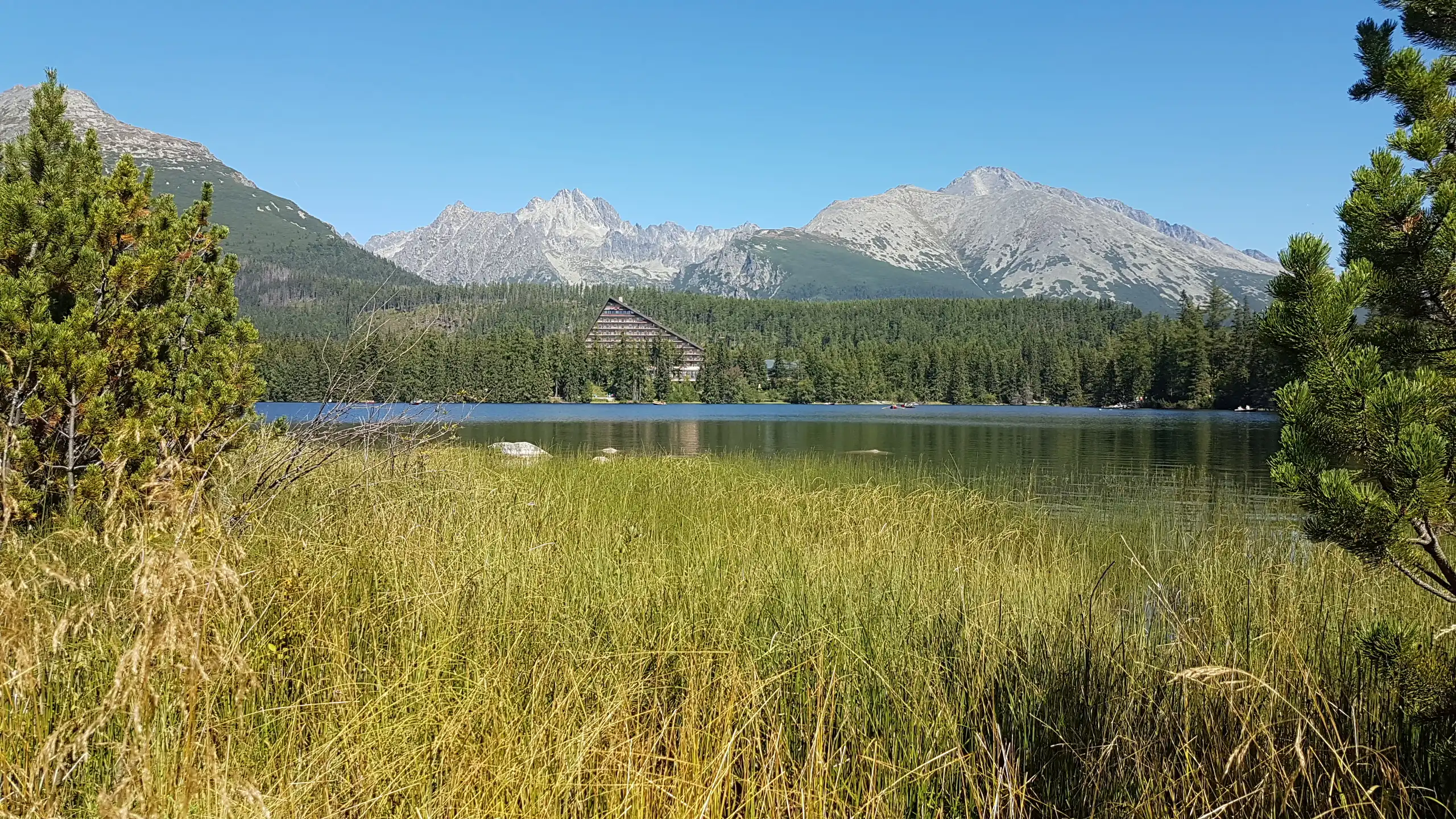 Jezioro Szczyrbskie widziane zza traw i sosny, z panoramą Tatr Wysokich oraz hotelem Patria w tle.