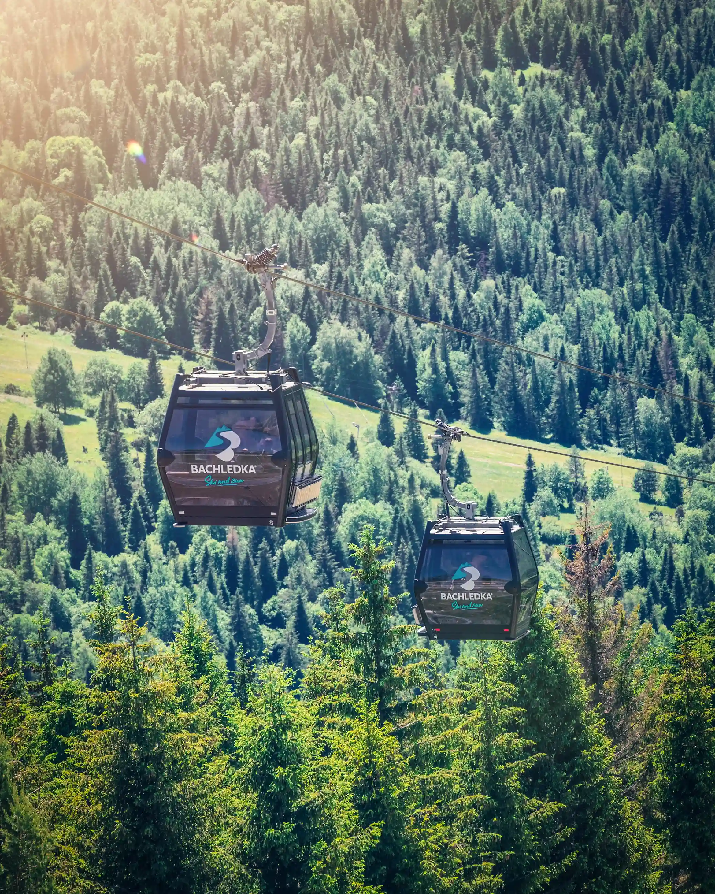 Dwie gondole zawieszone w powietrzu nad bujnym zielonym lasem, z górami w tle.