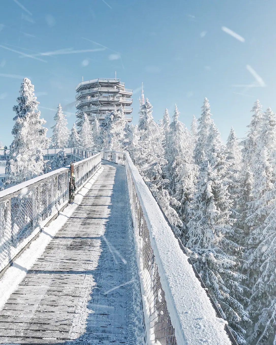 Kobieta i dziewczynka stojące przy drewnianej tablicy z królikiem, na zewnątrz pod błękitnym niebem, otoczone drzewami i płotem. Obie mają na sobie odzież odpowiednią do aktywności na świeżym powietrzu, widoczne jest także obuwie.