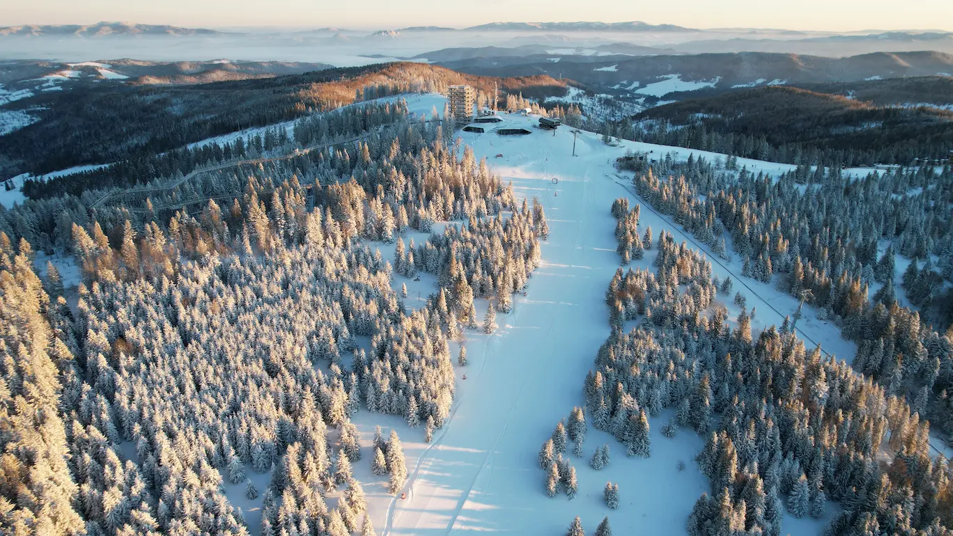 Grupa osób idących po platformie otoczonej drzewami, z ciężarówką i innymi pojazdami w tle. Jest słoneczny letni dzień, wszyscy są ubrani w casualowe ubrania i obuwie.