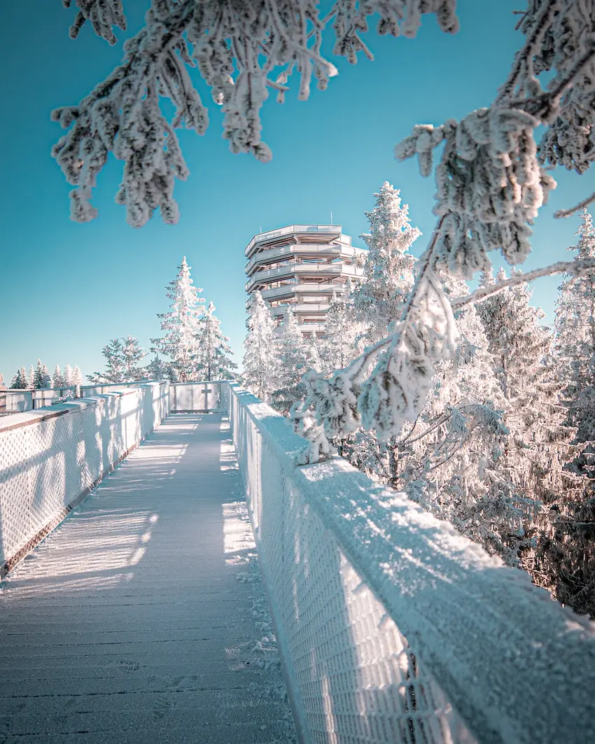 Osoba siedząca w gondoli, otoczona górami i drzewami, z czystym niebem i chmurami w tle. Gondola jest częścią wyciągu narciarskiego w stacji górskiej.
