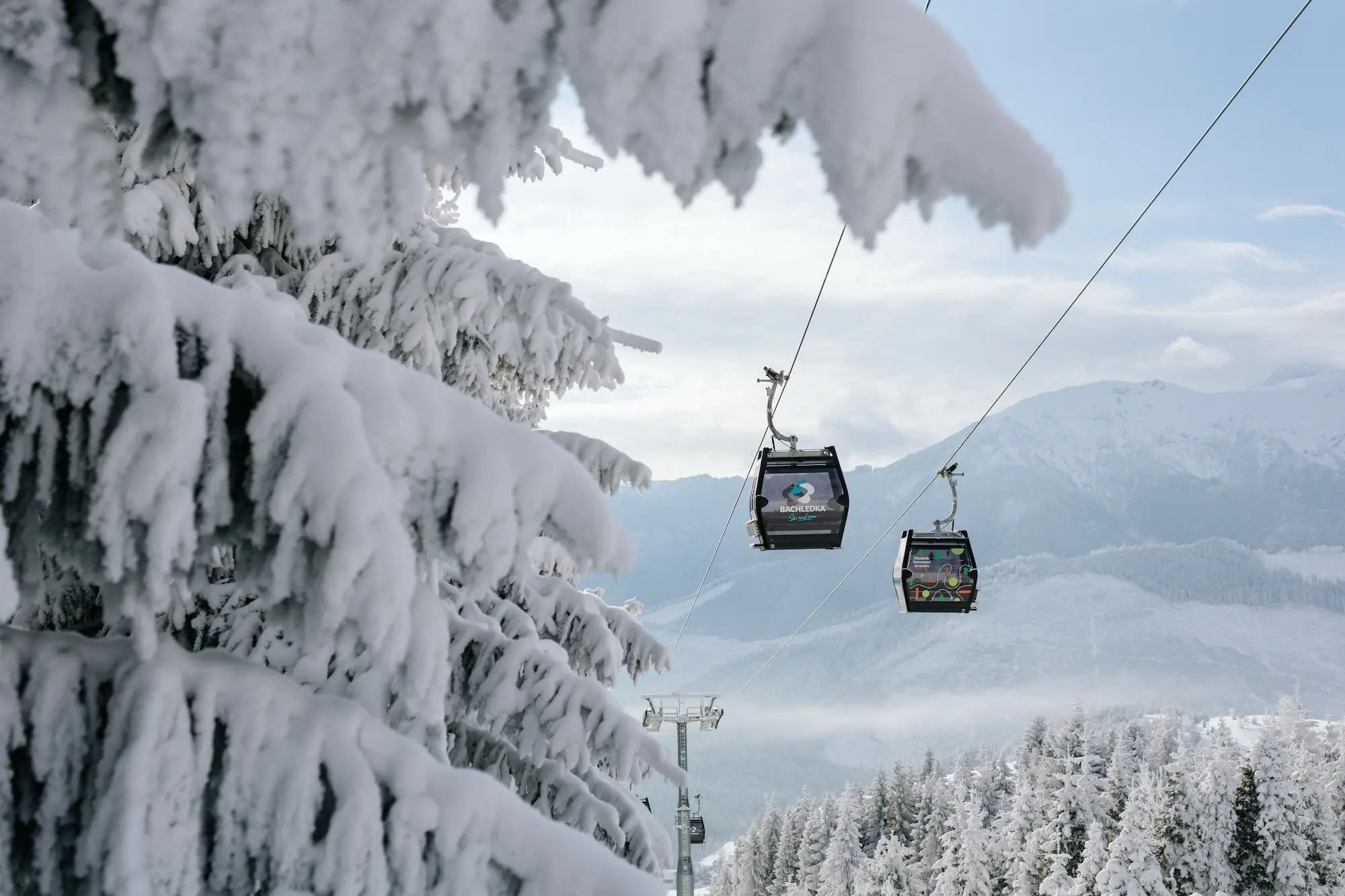 Most, po którym przechodzi kilka osób, otoczony drzewami pod częściowo zachmurzonym niebem.