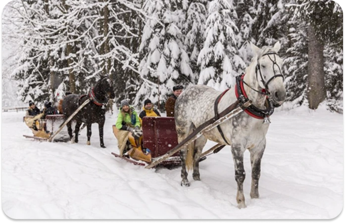 Kulig Dolina Chochołowska