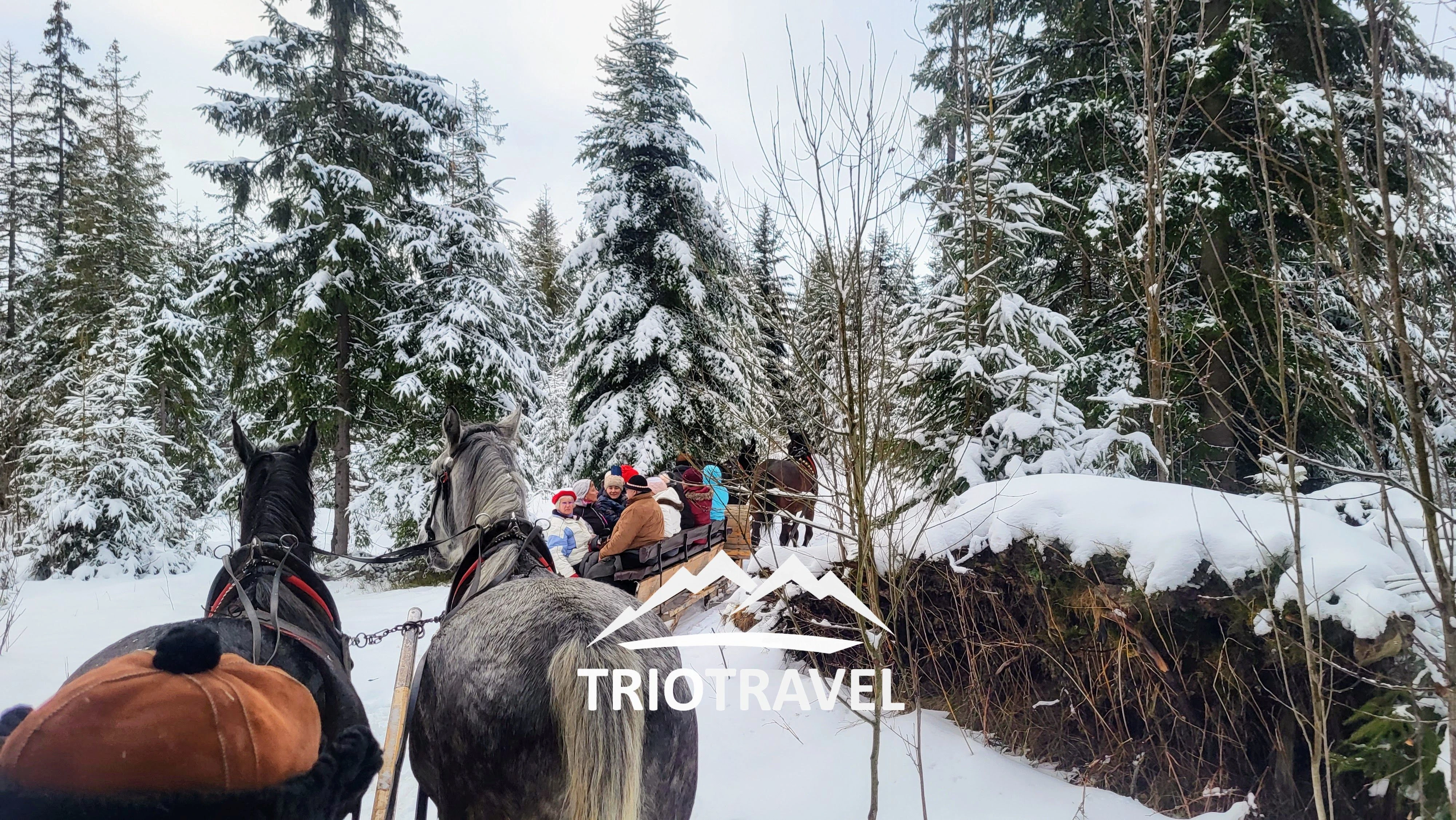 Góralski kulig w saniach przez zaśnieżoną dolinę