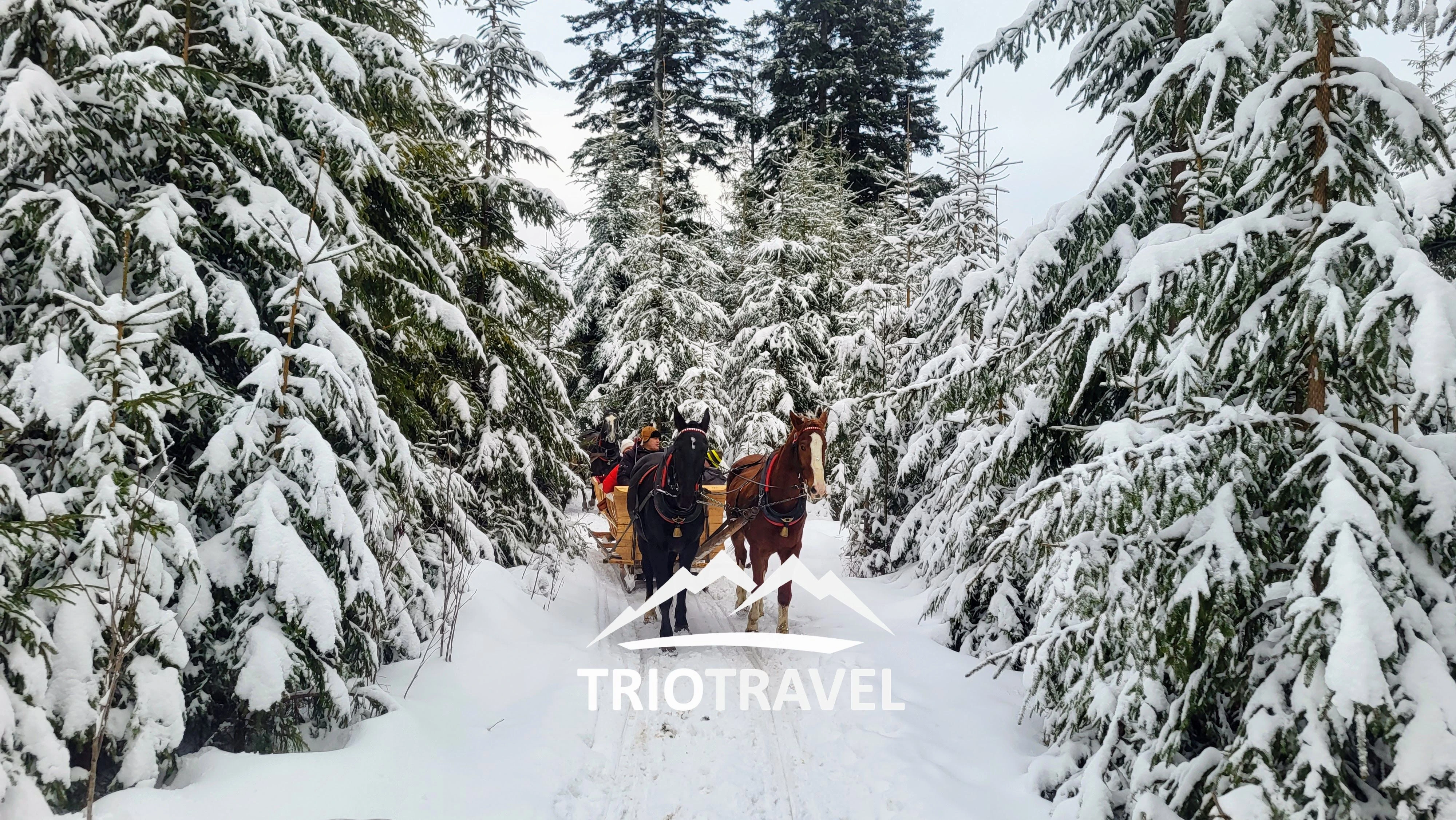 Widok na zaśnieżone góry podczas kuligu