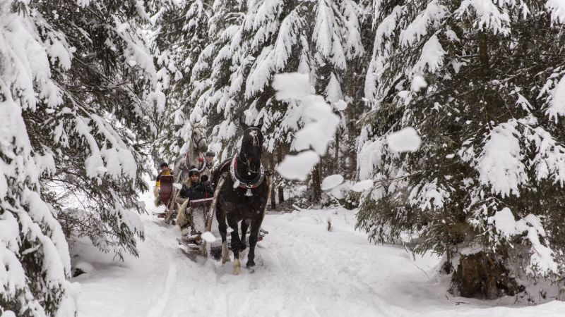 Winter sleigh rides