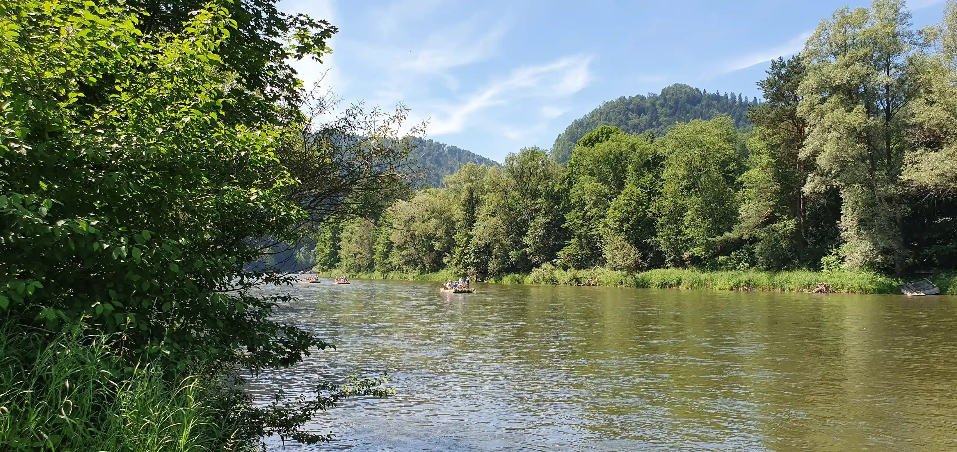 Spokojna scena nad rzeką z łodziami delikatnie unoszącymi się na wodzie, otoczonymi bujnymi drzewami wzdłuż brzegów. Niebo jest bezchmurne z kilkoma rozproszonymi chmurami, tworząc malowniczy naturalny krajobraz w spokojnym otoczeniu na świeżym powietrzu.